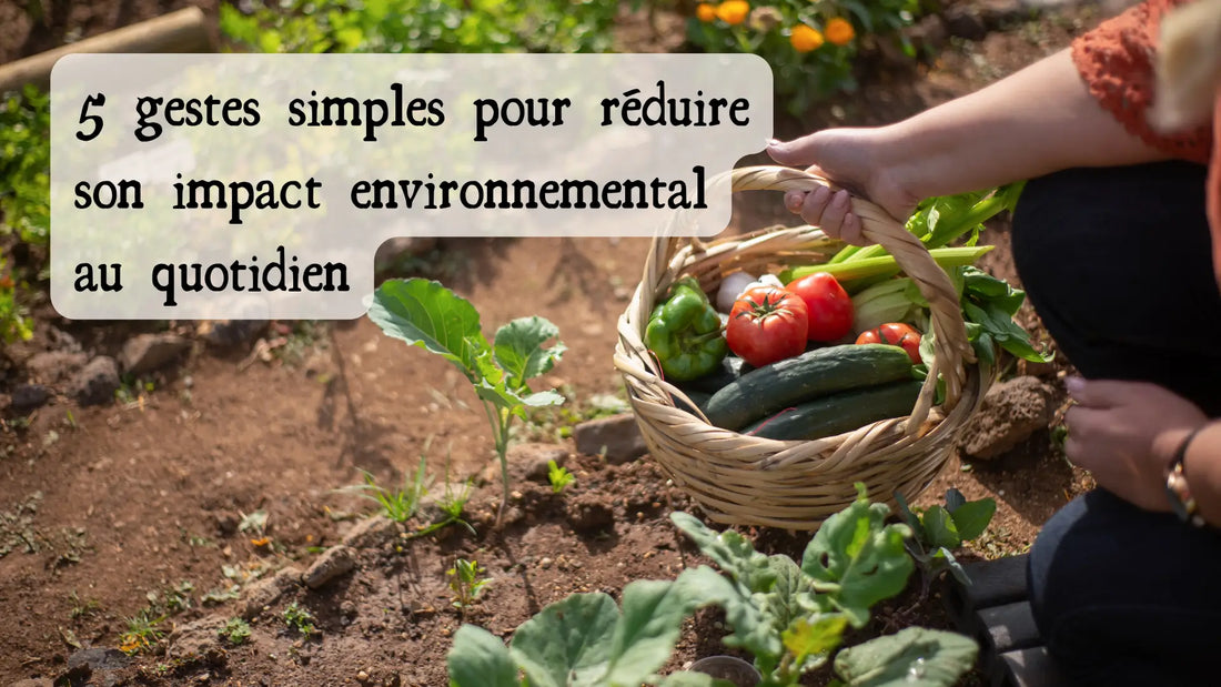 Illustration de l'article de blog « 5 gestes simples pour réduire son impact environnemental au quotidien » | Le sens des choses – boutique artisanale de bougies parfumées et savons naturels fabriqués en France.