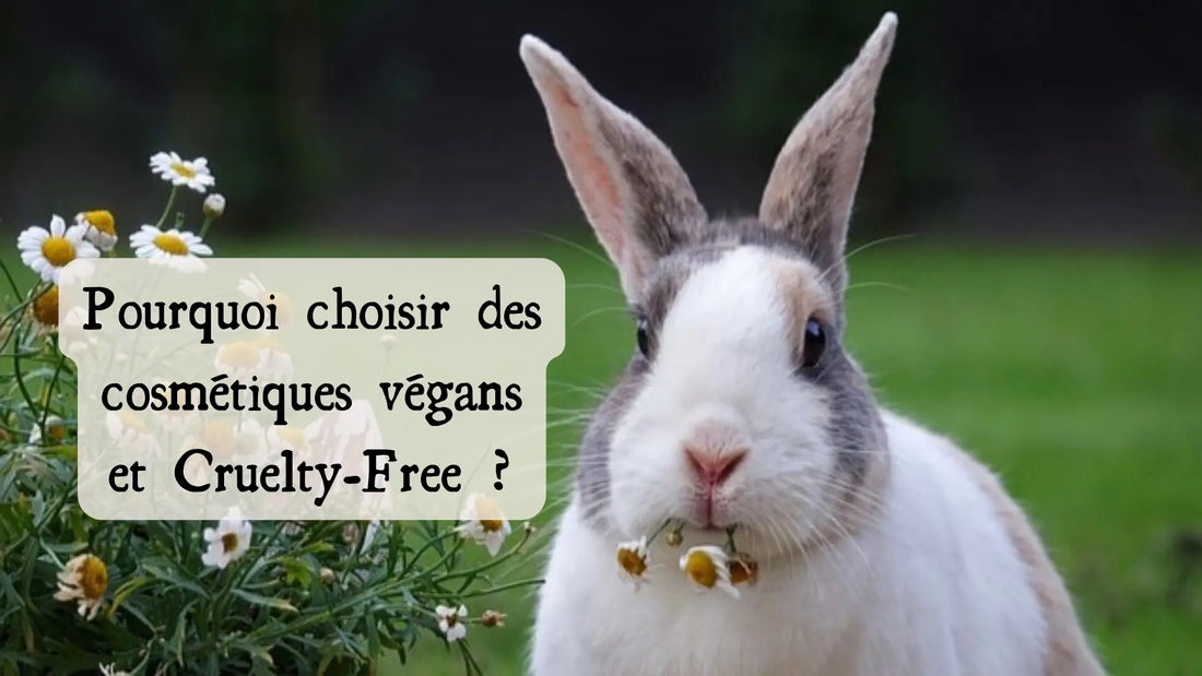 Illustration de l'article de blog « Pourquoi choisir des cosmétiques végans et Cruelty-Free ? » | Le sens des choses – boutique artisanale de bougies parfumées et savons naturels fabriqués en France.