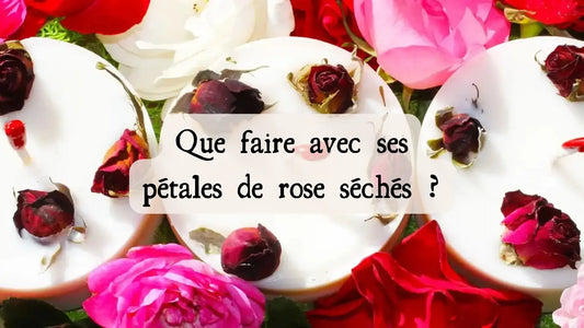 Que faire avec ses pétales de rose séchés ?