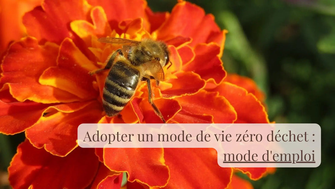 Adopter un mode de vie zéro déchet : mode d'emploi