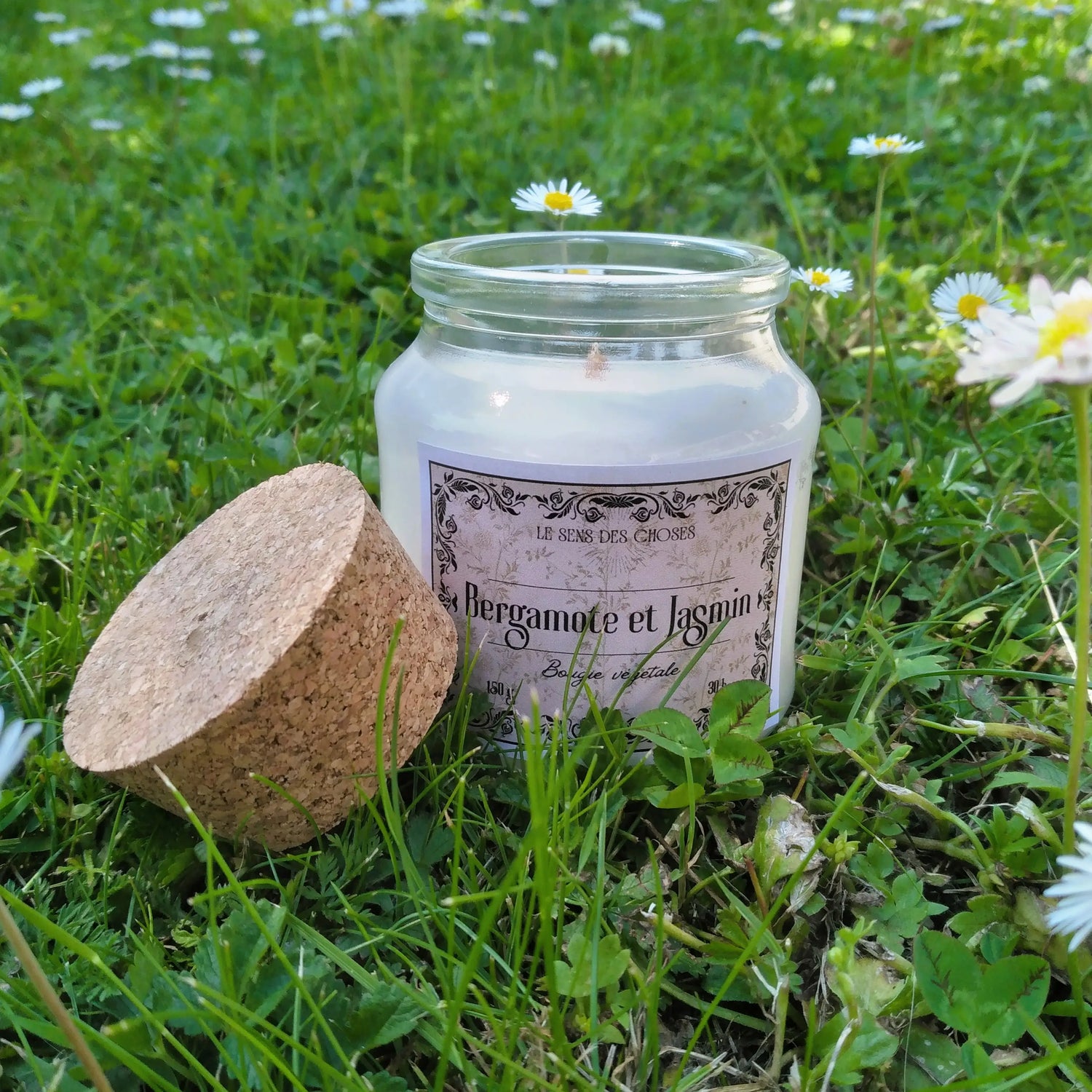 bougies, suspensions et fondants parfumés