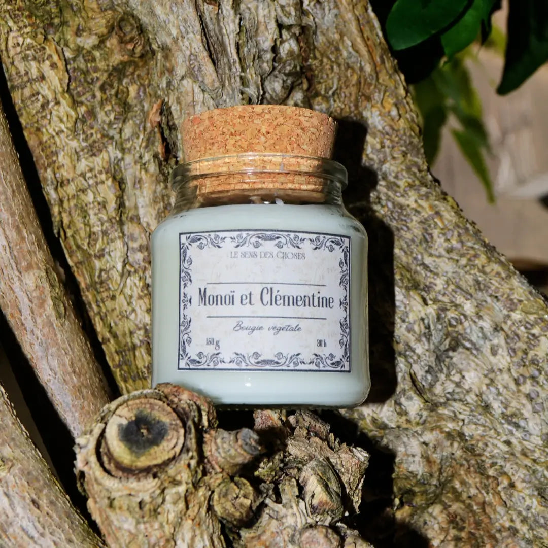 Image de bougie parfumée au monoï et clémentine (nouveau !) | Le sens des choses, boutique en ligne de produits artisanaux, naturels et écoresponsables, fabriqués en France ou en Europe : savons artisanaux, bougies parfumées, accessoires zéro déchet.