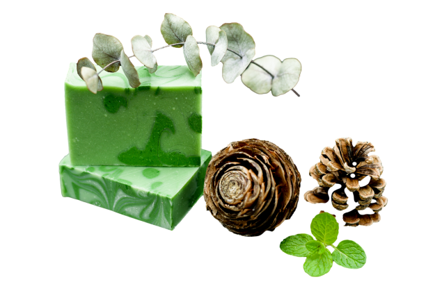 savon BIO à l’eucalyptus, menthe poivrée et pin — revigorant et vivifiant | Le sens des choses, boutique en ligne de produits artisanaux, naturels et écoresponsables fabriqués en France ou en Europe.