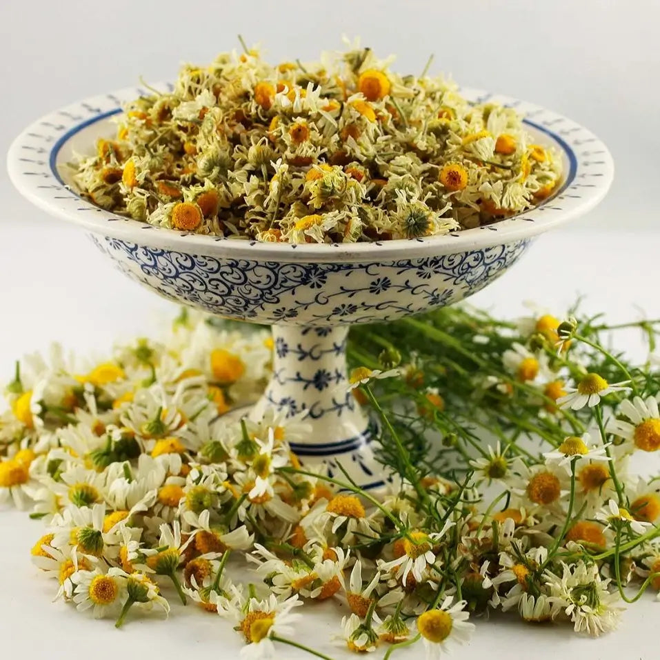 Fleurs de camomille matricaire séchées (Matricaria Recutita) – Création artisanale | Le sens des choses – Boutique de bougies parfumées végétales, décorations et savons