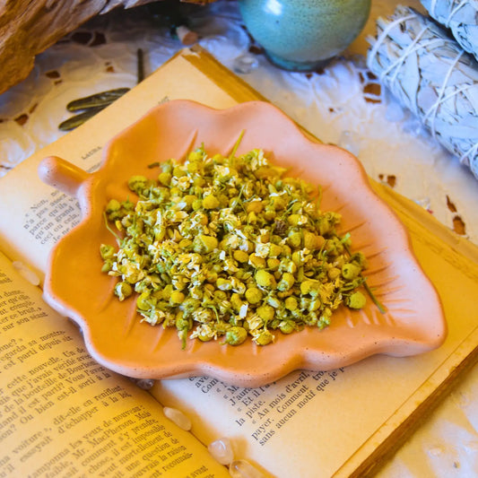 Fleurs de camomille matricaire séchées (Matricaria Recutita)