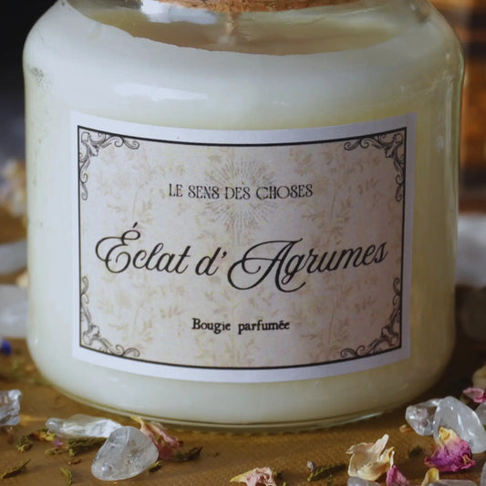 Bougie parfumée artisanale Éclat d’agrumes – Création artisanale | Le sens des choses – Boutique de bougies parfumées végétales et objets décoratifs écoresponsables