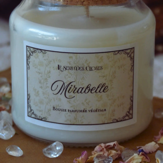 Bougie artisanale parfumée Mirabelle | Bougie parfumée naturelle à la cire végétale et parfum de Grasse