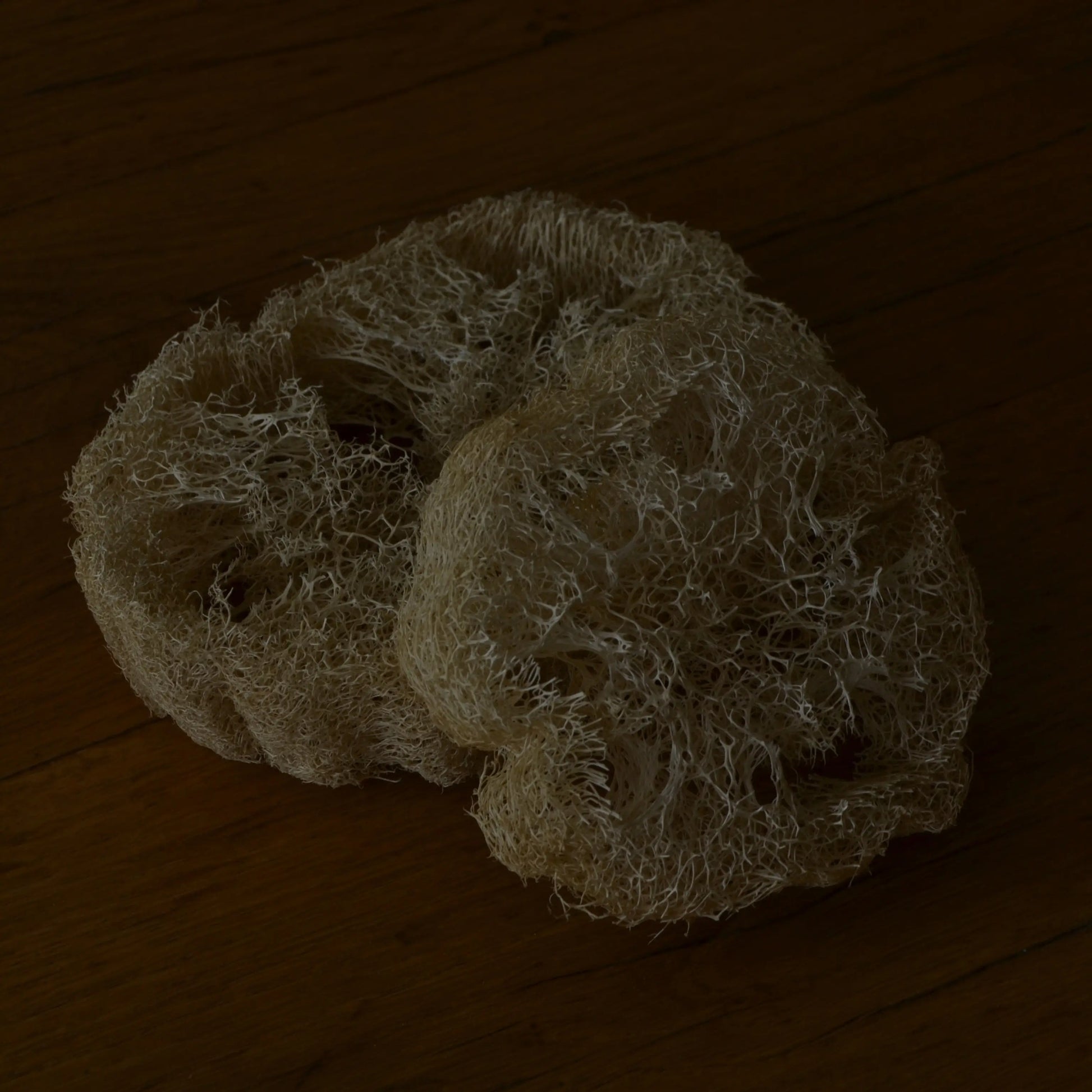 Image de Éponge loofah naturelle biodégradable | Le sens des choses — boutique artisanale de savons et bougies parfumées naturels fabriqués en France