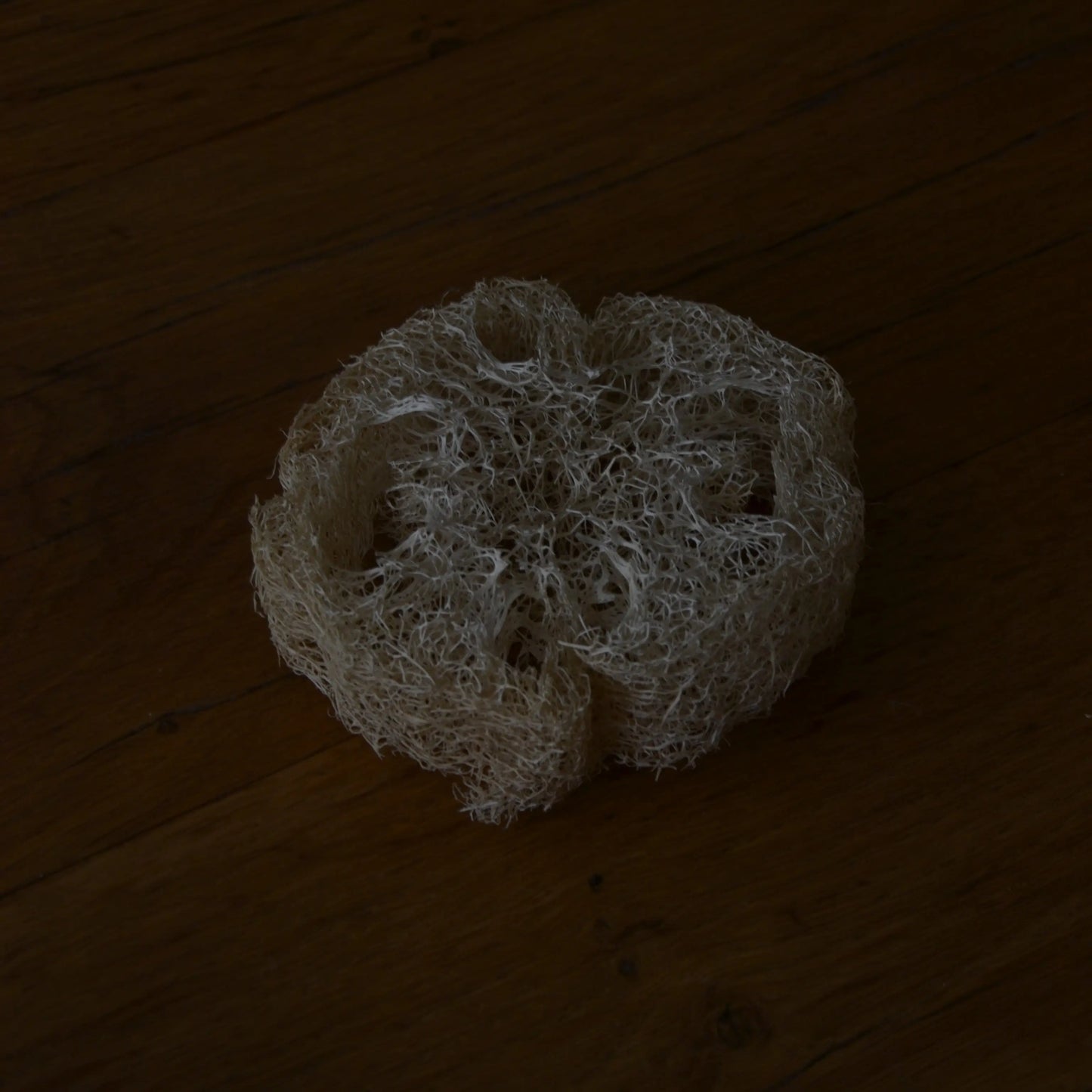 Image de Éponge loofah naturelle biodégradable | Le sens des choses – boutique artisanale de savons et bougies parfumées naturels fabriqués en France