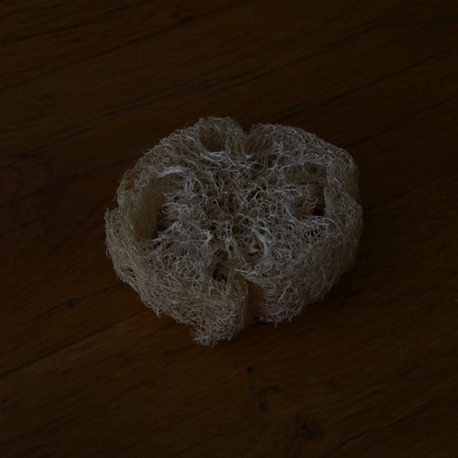Image de Éponge loofah naturelle biodégradable | Le sens des choses — boutique artisanale de savons et bougies parfumées naturels fabriqués en France