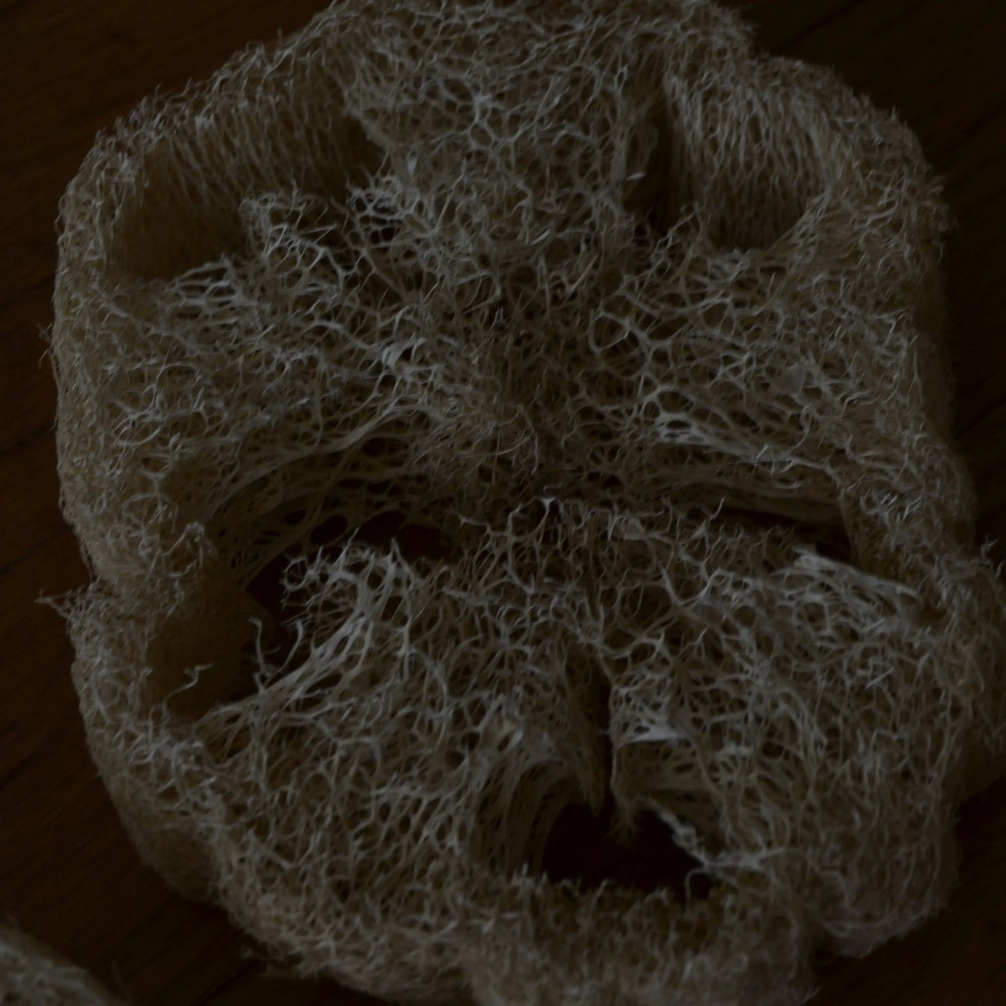 Image de Éponge loofah naturelle biodégradable | Le sens des choses – boutique artisanale de savons et bougies parfumées naturels fabriqués en France