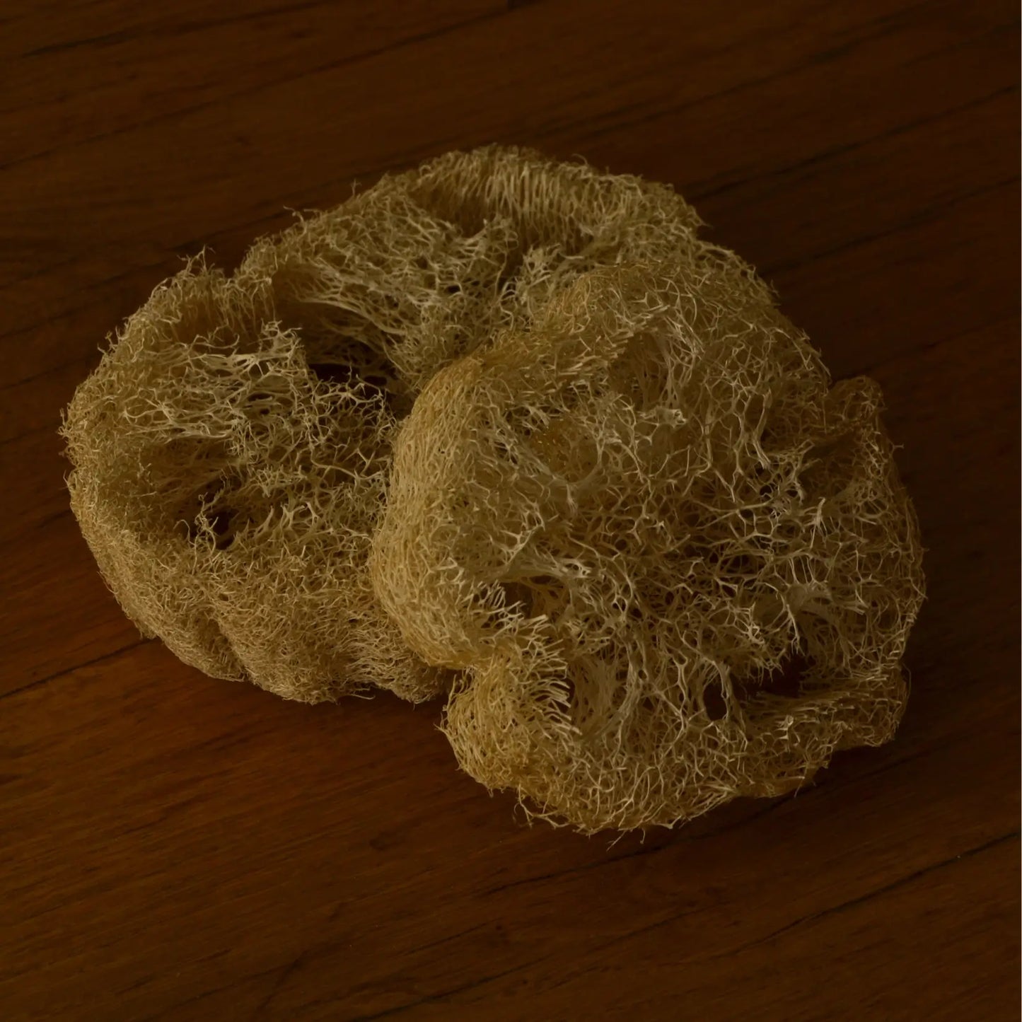 Éponge loofah naturelle biodégradable – Création artisanale | Le sens des choses – Boutique de bougies parfumées végétales, décorations et savons
