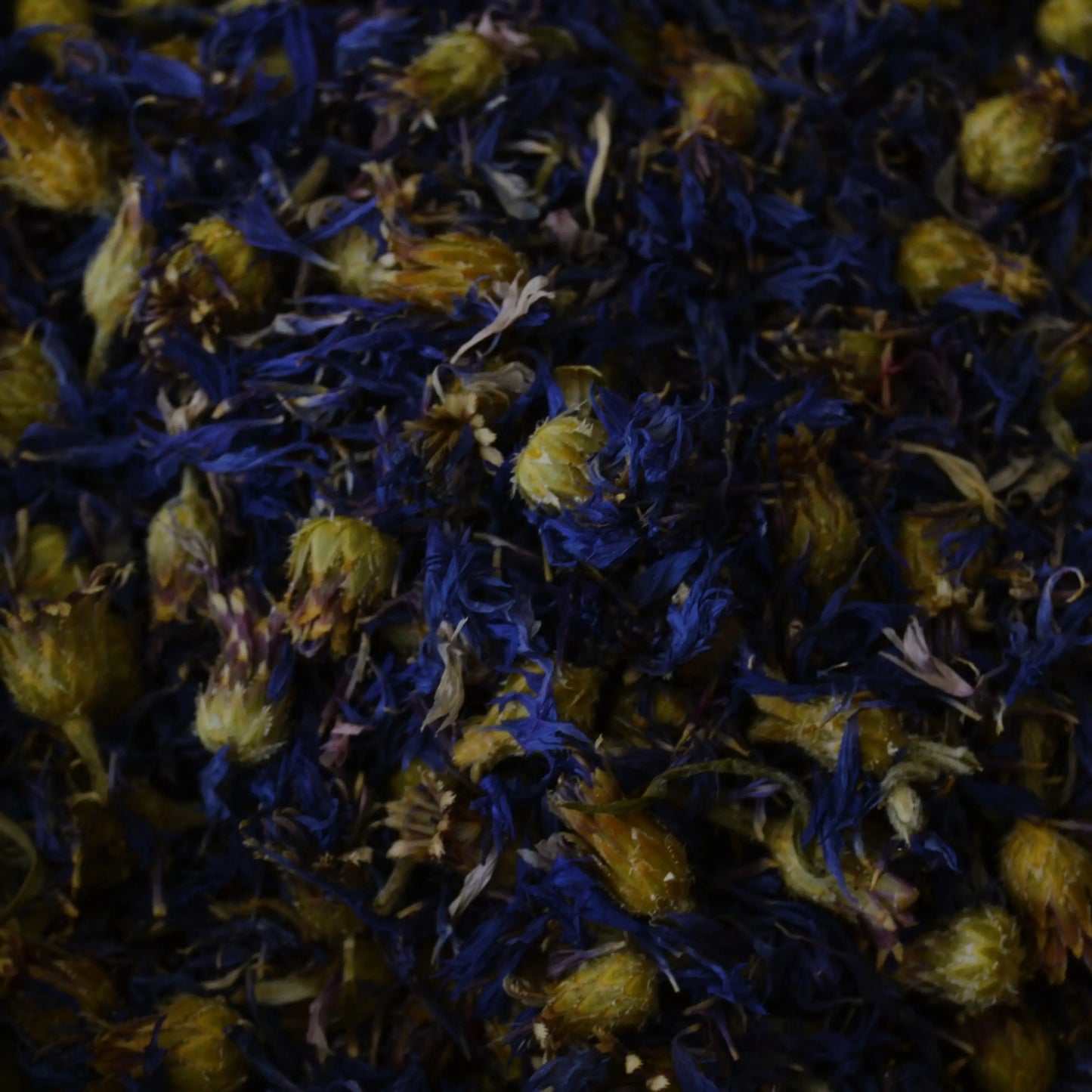 Image de Fleurs de bleuet séchées (Centaurea cyanus) | Le sens des choses, boutique en ligne de produits artisanaux, naturels et écoresponsables, fabriqués en France ou en Europe : savons artisanaux, bougies parfumées, accessoires zéro déchet.