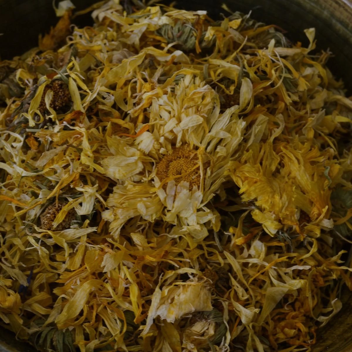 Fleurs de souci séchées (Calendula Officinalis) | Fleurs séchées, tisanes et plantes d'herboristerie pour rituels bien-être