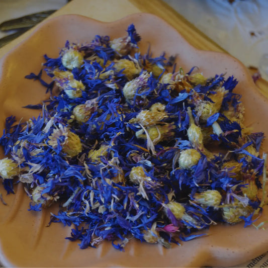 Fleurs de bleuet séchées (Centaurea Cyanus)