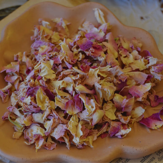 Pétales de rose de Damas séchés (Rosa Damascena)