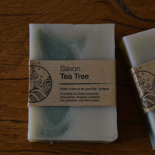 Image de Savon artisanal surgras au tea tree (arbre à thé) | Le sens des choses — boutique artisanale de savons et bougies parfumées naturels fabriqués en France