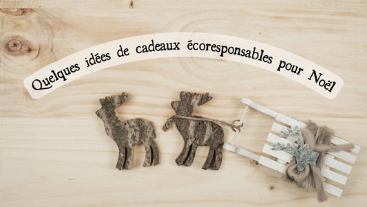 Quelques idées de cadeaux écoresponsables pour Noël