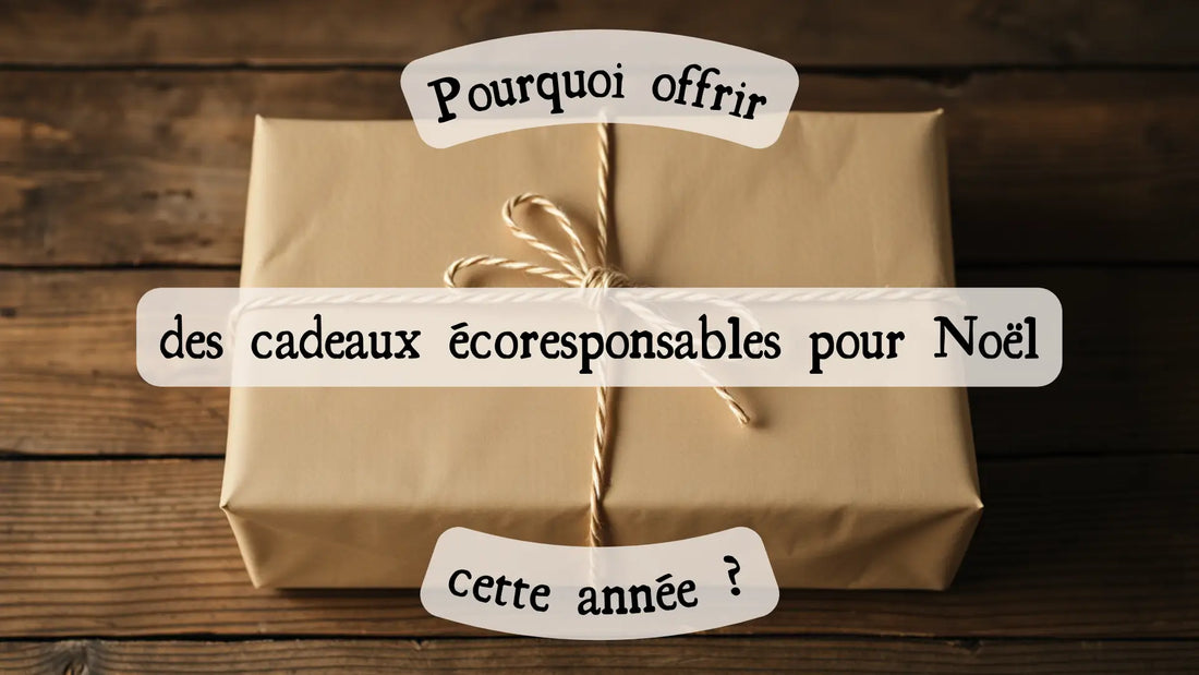 Pourquoi offrir des cadeaux écoresponsables pour Noël cette année ?
