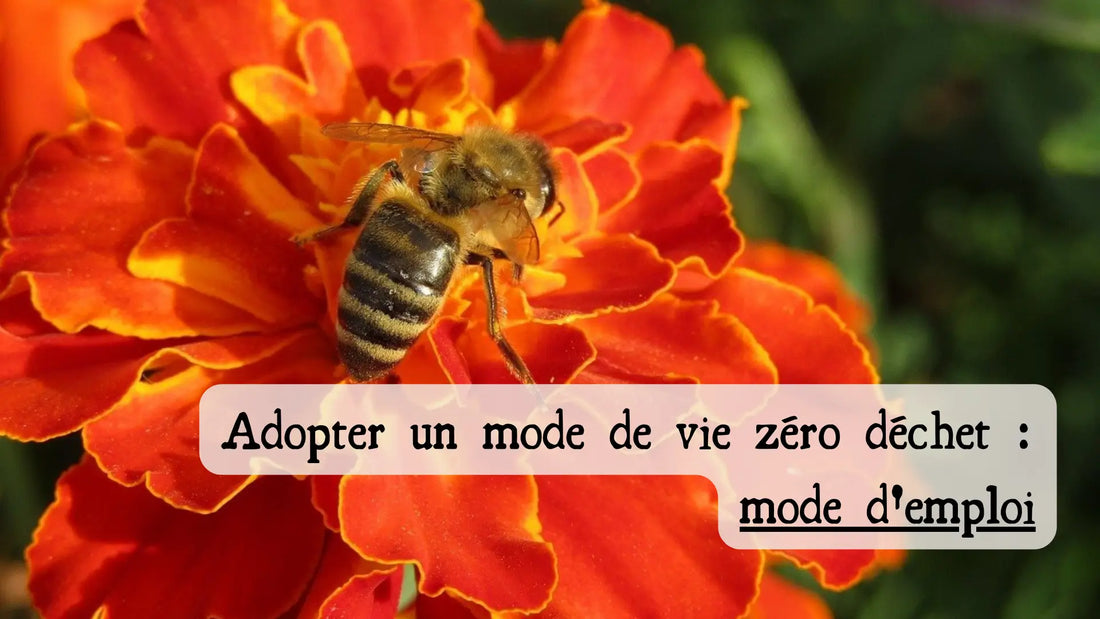 Adopter un mode de vie zéro déchet : mode d'emploi