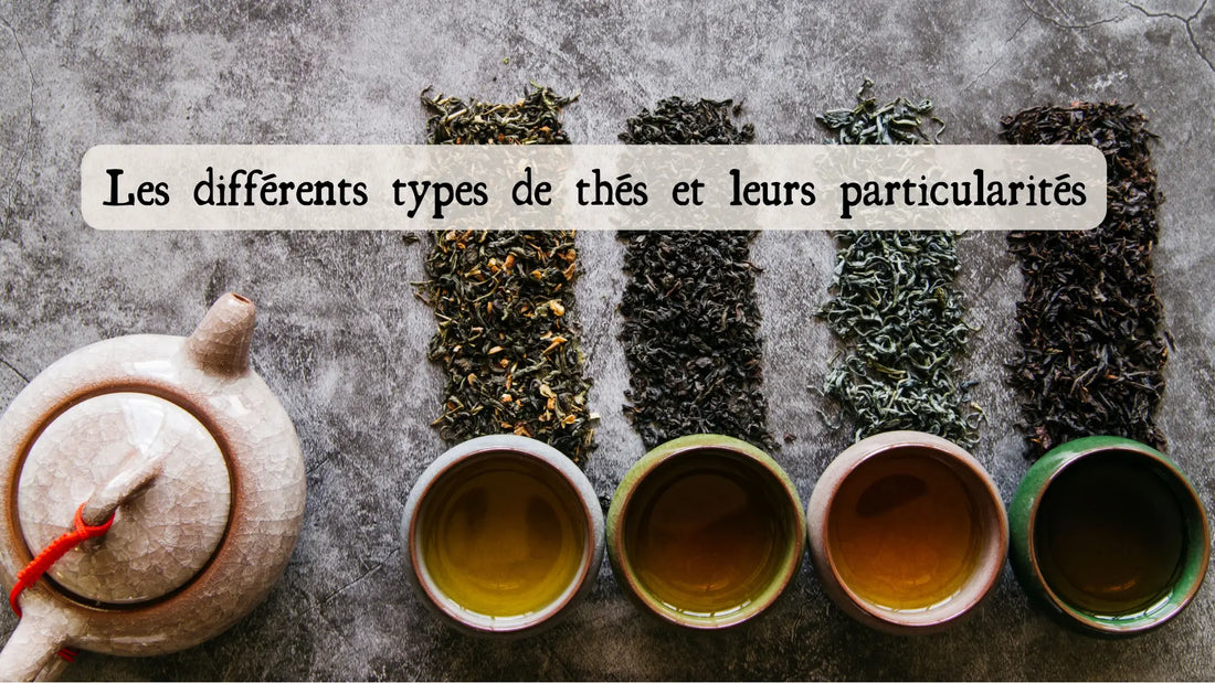 Les différents types de thés et leurs particularités