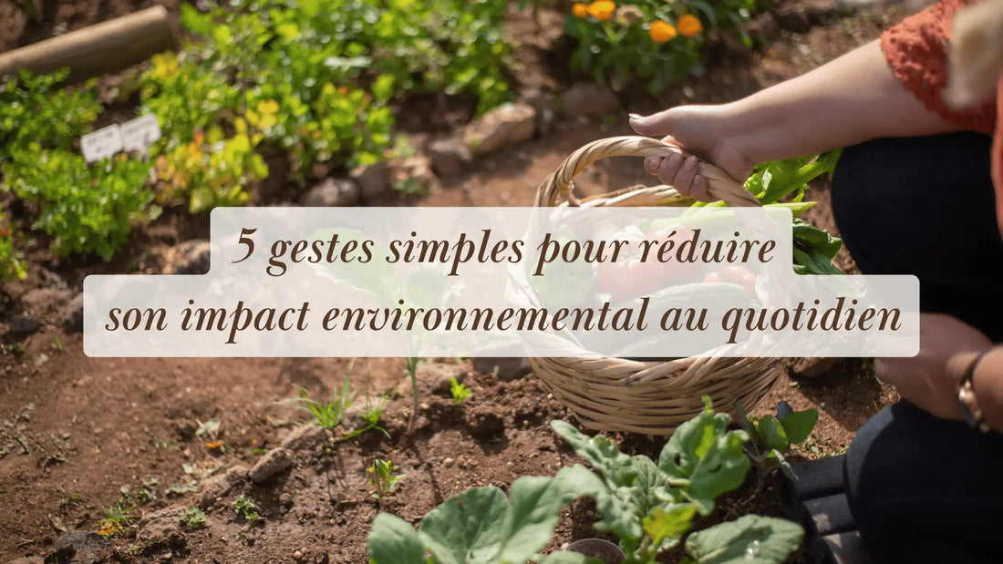 5 gestes simples pour réduire son impact environnemental au quotidien | Routines bien-être et rituels du quotidien | Boutique éthique et bien-être