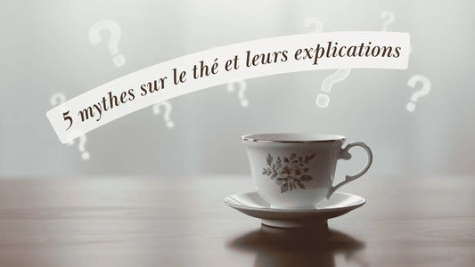 5 mythes sur le thé et leurs explications | Rituels et inspirations slow life | Boutique éthique et bien-être