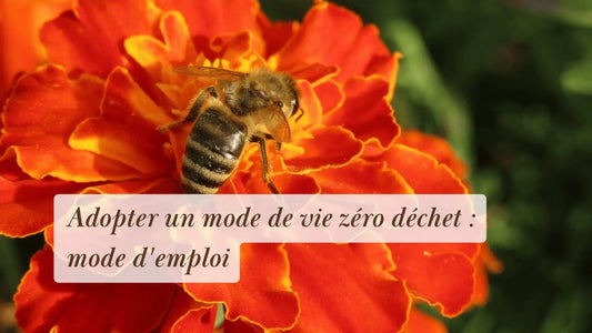 Adopter un mode de vie zéro déchet : mode d'emploi | Rituels et inspirations slow life | Boutique éthique et bien-être