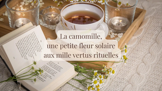 La camomille, une petite fleur solaire aux mille vertus rituelles | Blog Chroniques végétales | Le sens des choses – Artisanat français éthique et bien-être