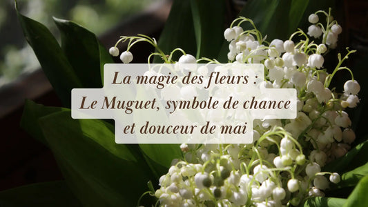 La magie des fleurs : Le Muguet, symbole de chance et douceur de mai | Chroniques végétales | Boutique éthique et bien-être