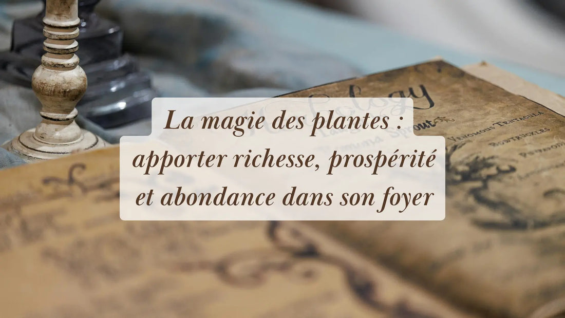 La magie des plantes : apporter richesse, prospérité et abondance dans son foyer | Chroniques végétales | Boutique éthique et bien-être