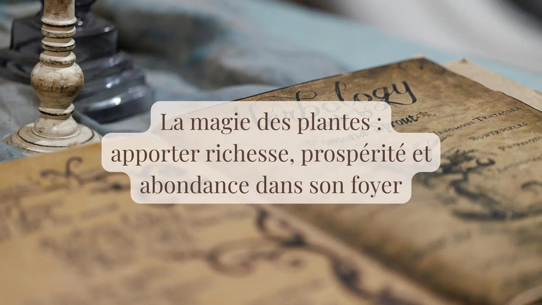 La magie des plantes : apporter richesse, prospérité et abondance dans son foyer | Blog Chroniques végétales | Le sens des choses – Artisanat français éthique et bien-être