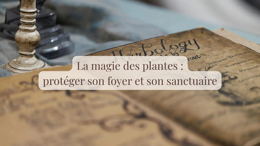 La magie des plantes : protéger son foyer et son sanctuaire | Blog Chroniques végétales | Le sens des choses – Artisanat français éthique et bien-être