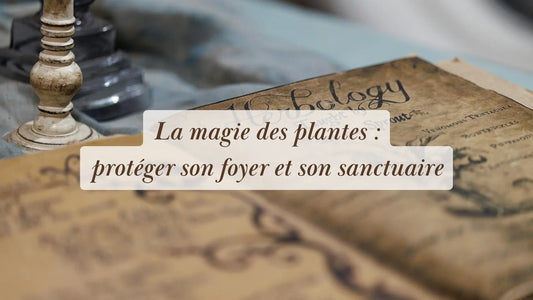 La magie des plantes : protéger son foyer et son sanctuaire | Chroniques végétales | Boutique éthique et bien-être