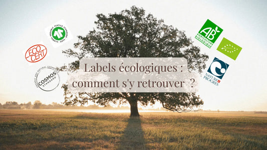 Illustration de l'article de blog « Labels écologiques : comment s'y retrouver pour faire des choix écoresponsables ? » | Le sens des choses — boutique artisanale de bougies parfumées et savons naturels fabriqués en France.