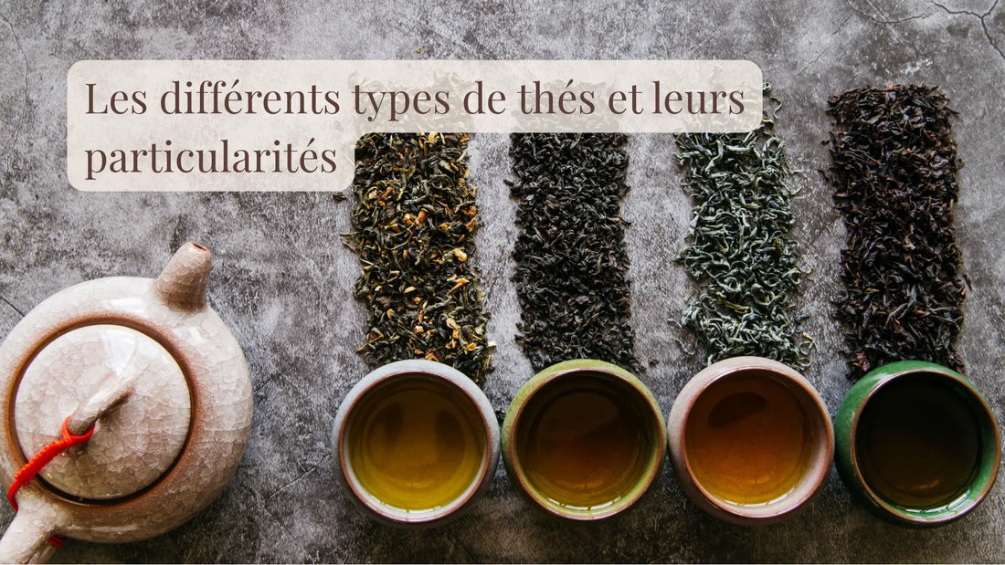 Illustration de l’article « Les-différents-types-de-thés-et-leurs-particularités » | Le sens des choses – boutique artisanale de bougies parfumées et savons naturels fabriqués en France