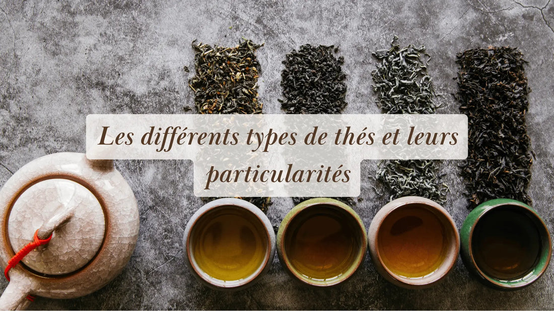 Les différents types de thés et leurs particularités | Rituels et inspirations slow life | Boutique éthique et bien-être