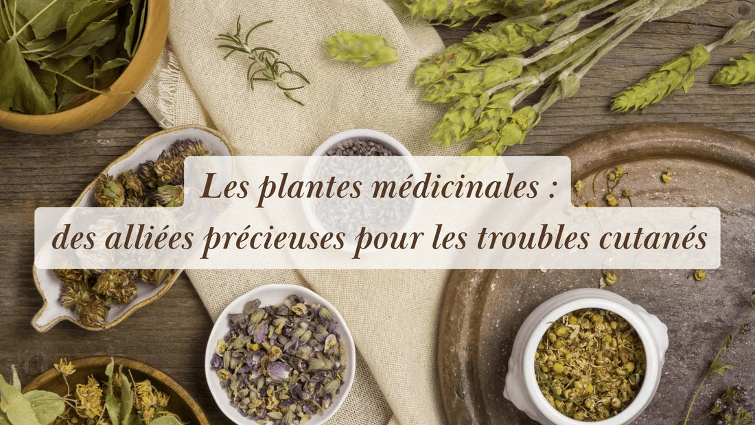 Les plantes médicinales, des alliées précieuses pour les troubles cutanés | Chroniques végétales | Boutique éthique et bien-être