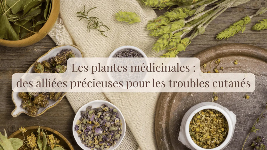 Les plantes médicinales, des alliées précieuses pour les troubles cutanés | Blog Chroniques végétales | Le sens des choses – Artisanat français éthique et bien-être