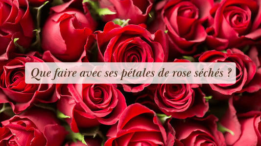 Que faire avec des pétales de rose séchés ? | Chroniques végétales | Boutique éthique et bien-être