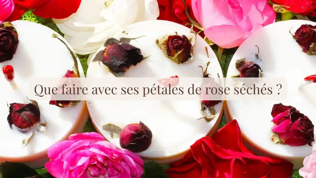 Que faire avec des pétales de rose séchés ? | Chroniques végétales | Boutique française et éthique dédiée au bien-être