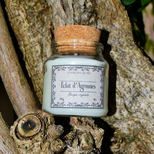 Image de bougie parfumée « éclat d'agrumes » (nouveau !) | Le sens des choses, boutique en ligne de produits artisanaux, naturels et écoresponsables, fabriqués en France ou en Europe : savons artisanaux, bougies parfumées, accessoires zéro déchet.