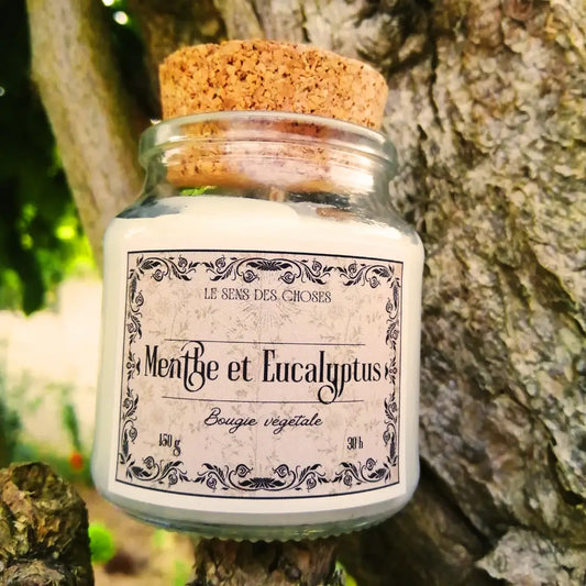 Image de bougie parfumée à la menthe et eucalyptus | Le sens des choses, boutique en ligne de produits artisanaux, naturels et écoresponsables, fabriqués en France ou en Europe : savons artisanaux, bougies parfumées, accessoires zéro déchet.