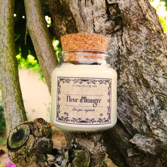 Image de bougie parfumée à la fleur d'oranger | Le sens des choses, boutique en ligne de produits artisanaux, naturels et écoresponsables, fabriqués en France ou en Europe : savons artisanaux, bougies parfumées, accessoires zéro déchet.
