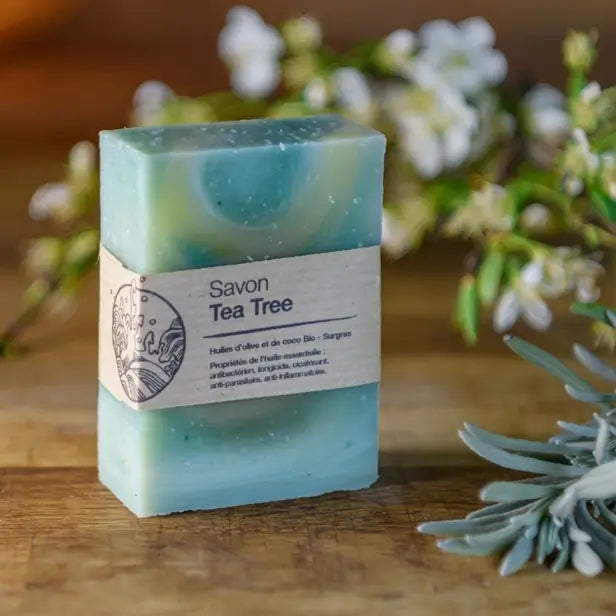 Image de savon au tea tree (arbre à thé) | Le sens des choses, boutique en ligne de produits artisanaux, naturels et écoresponsables, fabriqués en France ou en Europe : savons artisanaux, bougies parfumées, accessoires zéro déchet.
