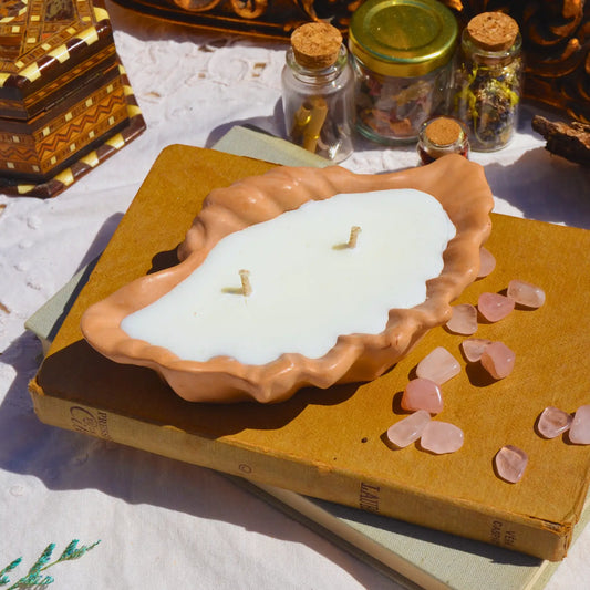 Calliope — La bougie coquillage en jesmonite