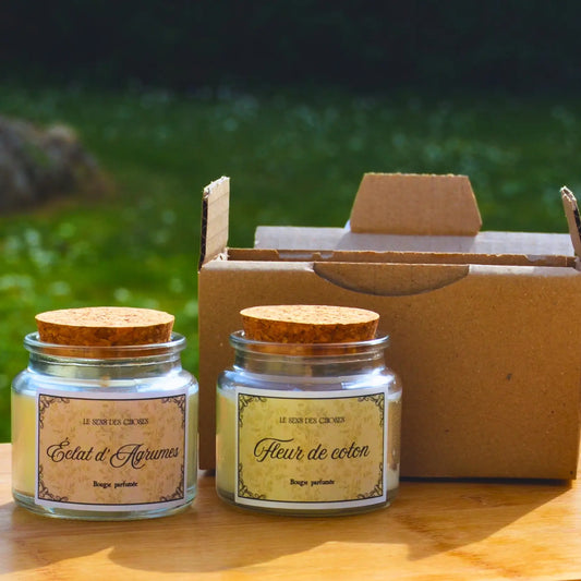 Coffret deux petites bougies végétales au choix | Le sens des choses – Boutique de bougies parfumées végétales, décorations et bien-être