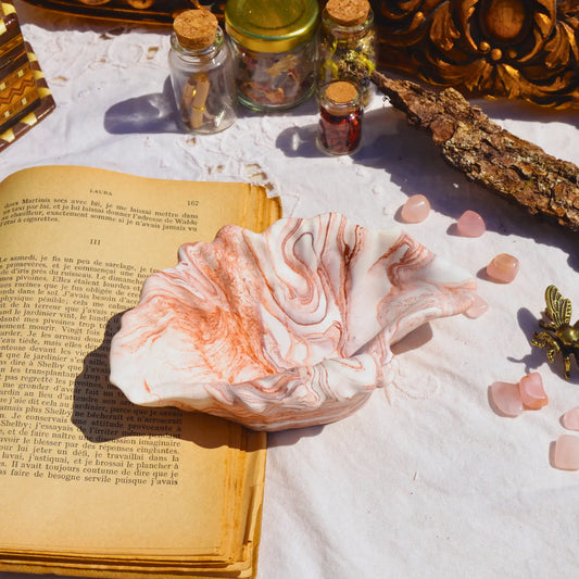Calliope — Vide-poche coquillage en jesmonite – Création artisanale | Le sens des choses – Boutique de bougies parfumées végétales, décorations et savons