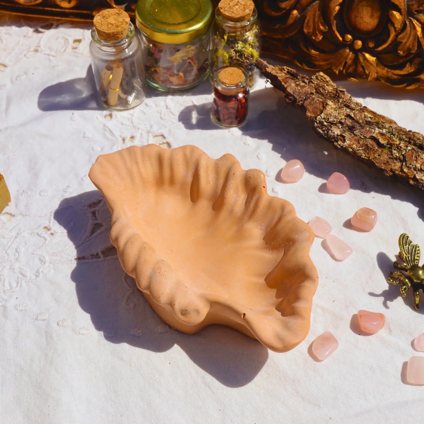 Calliope — Vide-poche coquillage en jesmonite – Création artisanale | Le sens des choses – Boutique de bougies parfumées végétales, décorations et savons