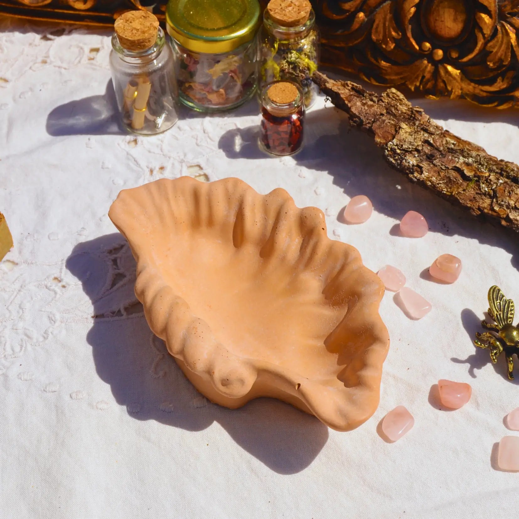 Calliope — Vide-poche coquillage en jesmonite – Création artisanale | Le sens des choses – Boutique de bougies parfumées végétales, décorations et savons